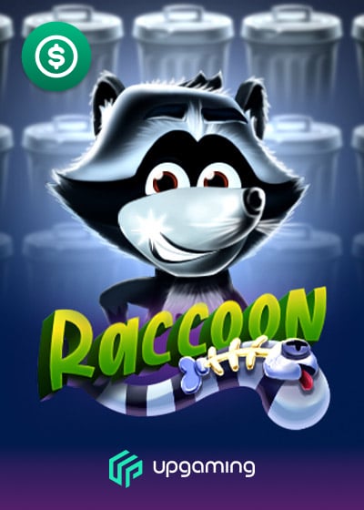 Raccoon