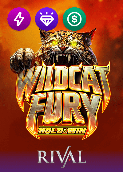 Wildcat Fury